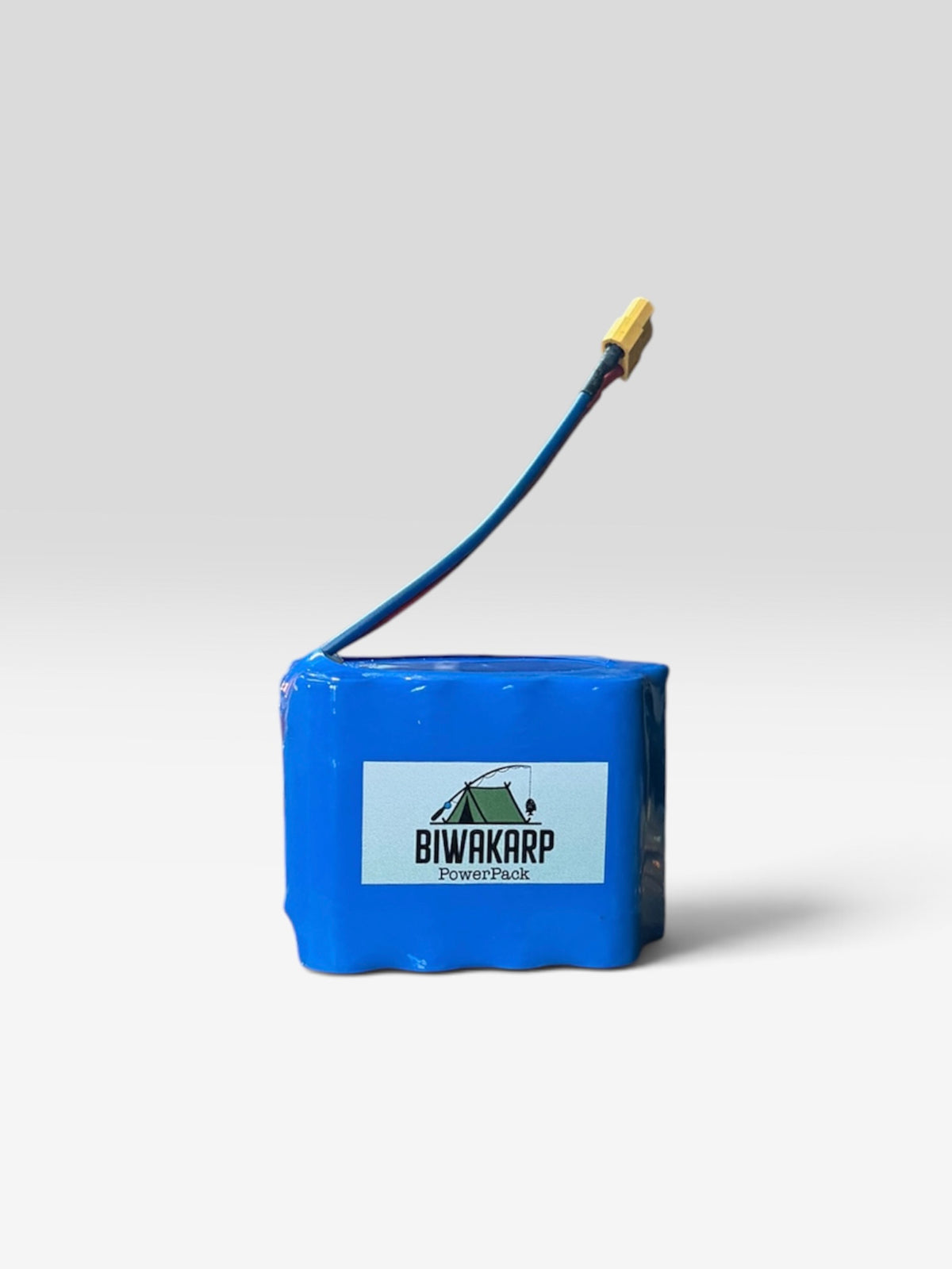 PowerPack Biwakarp z wtyczką do balansera